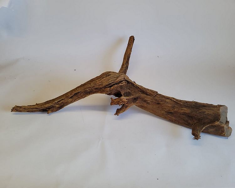 Driftwood - XXL (80cm - 90cm) #DW1