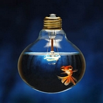 Aquarium Lighting Aquarium Lighting