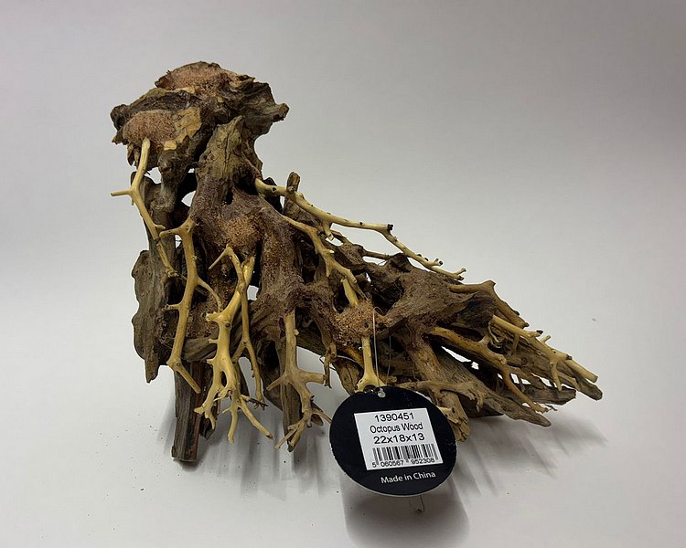 Octopus Wood - Approximately 15-18cm x 20-22cm #OW1