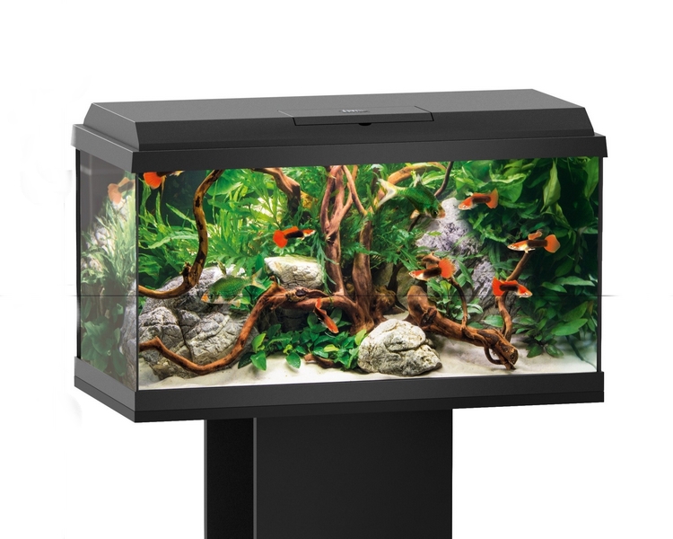 Juwel Primo LED Aquarium - Black 110L The Trop Company