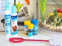 Aquarium Essentials Aquarium Essentials