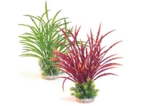 Aquarium Plants